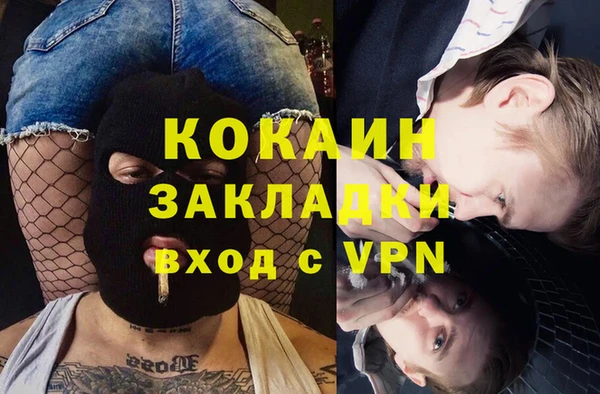 сатива Елабуга