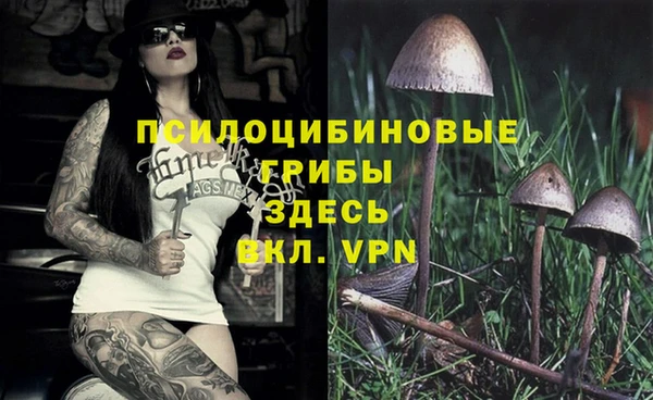 прущие крисы Пестово