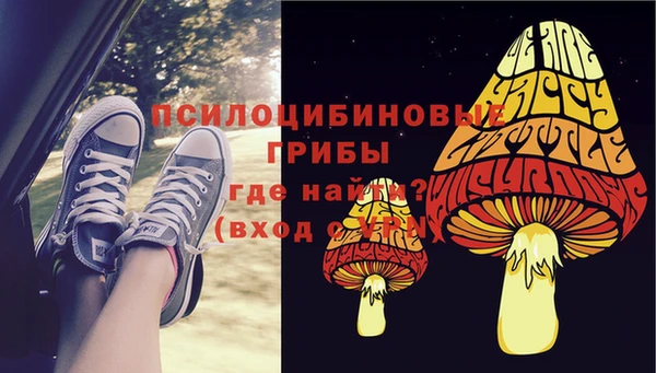 spice Дмитриев