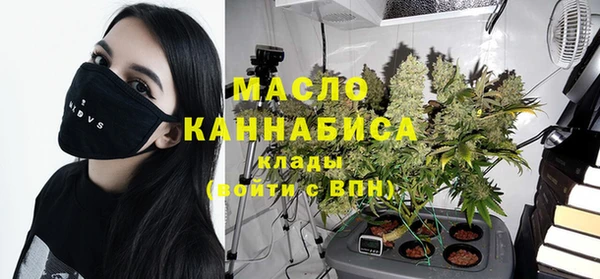 spice Дмитриев