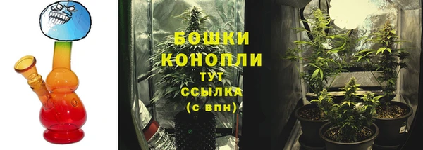 кокс Ельня